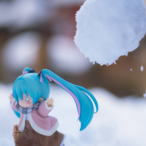霏雪纪流年