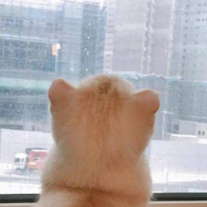 有点点困了