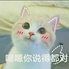 你说的都对