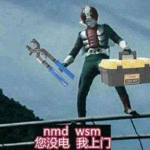 nmdwsm