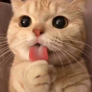 走心