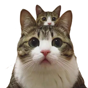 oiov