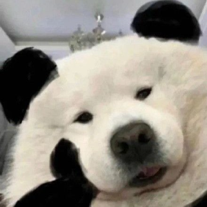 冰封