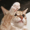 BanChuan