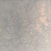 yszmnl2233