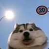 YOUKOVO