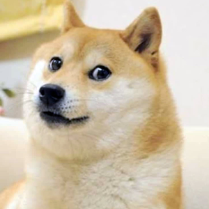 Thedoge