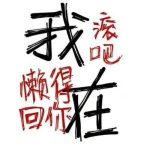 新程序