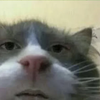 南风咖啡