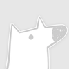 sgfox