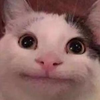 YuNnQ