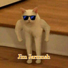 JerryT