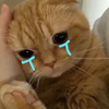 Hngsn