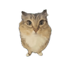 phirgos