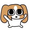 DIjun6