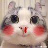 莫辜负