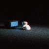 人生海海