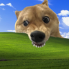 xianxuwu2
