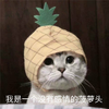 1664666655