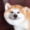 MrQiu
