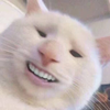 zzznmzz