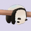 残叶