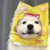 云起