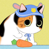 chiaya