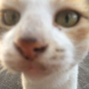 hjyy9
