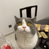 nmyhhzr