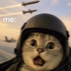 qoney