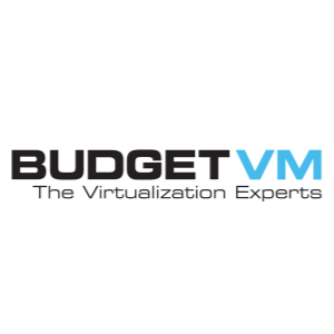 Budgetvm