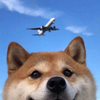 Dogwood