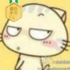 wsk1911789694