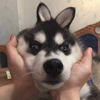 M-W-H