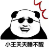 PandaQ