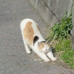 向阳