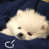 LeonYu