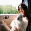 sweett