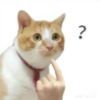 立冬