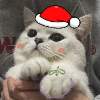 wehao