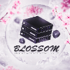 BlossomHost