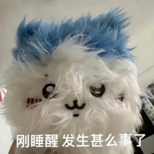 nekoawa