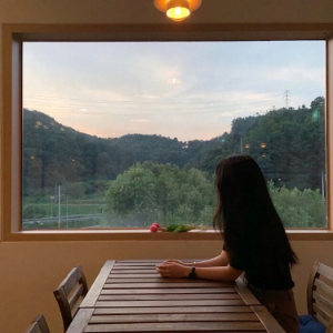 花海雨梦