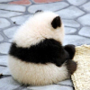 nkguo