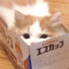 touen