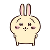 piyokichi