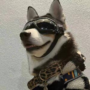 清尘
